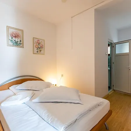 Mountain Rose Vila Busteni Exterior photo